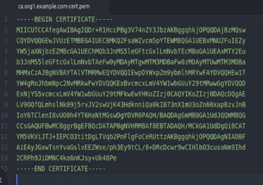 ca.org1.example.com-cert.pem文件