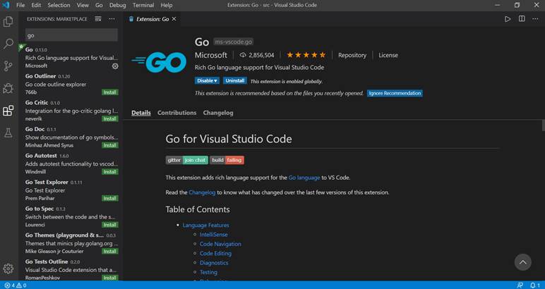 Go for Visual Studio Code