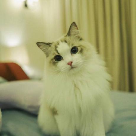 zohu